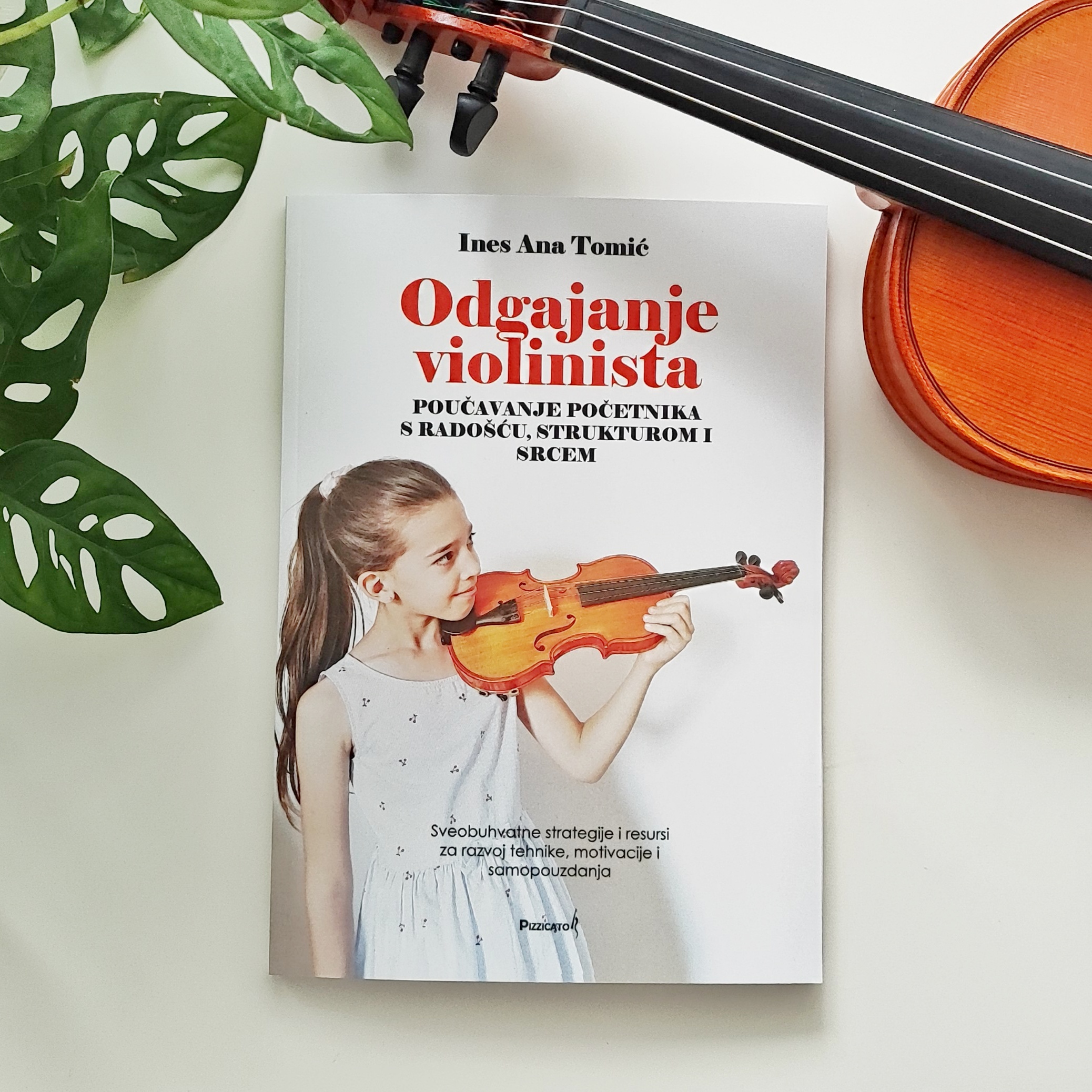 odgajanje violinista